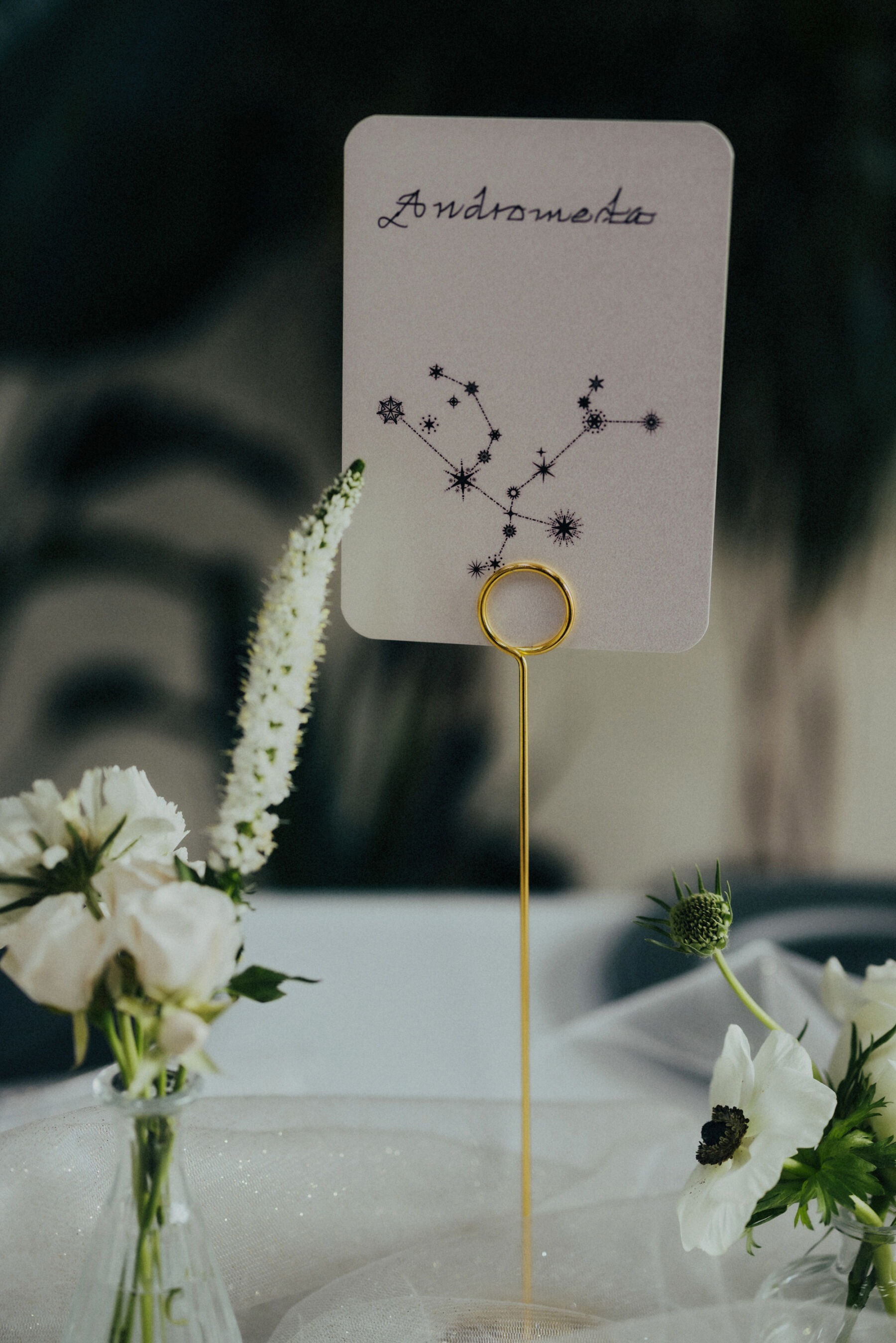 imgi_26_Celestial-Inspired-Wedding-26.jpg imgi_26_Celestial-Inspired-Wedding-26.jpg